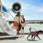 Direct boarding with a dog at a quiet private jet terminal