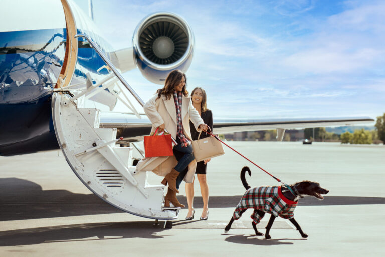 Direct boarding with a dog at a quiet private jet terminal