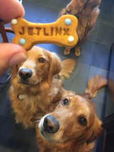 Pet travel amenities including water, treats, and a blanket prepared for a private flight