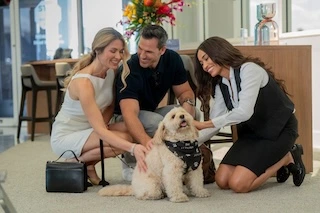 Pets flying private at Jet Linx are welcomed with treats and the same high standards of service as our Members.
